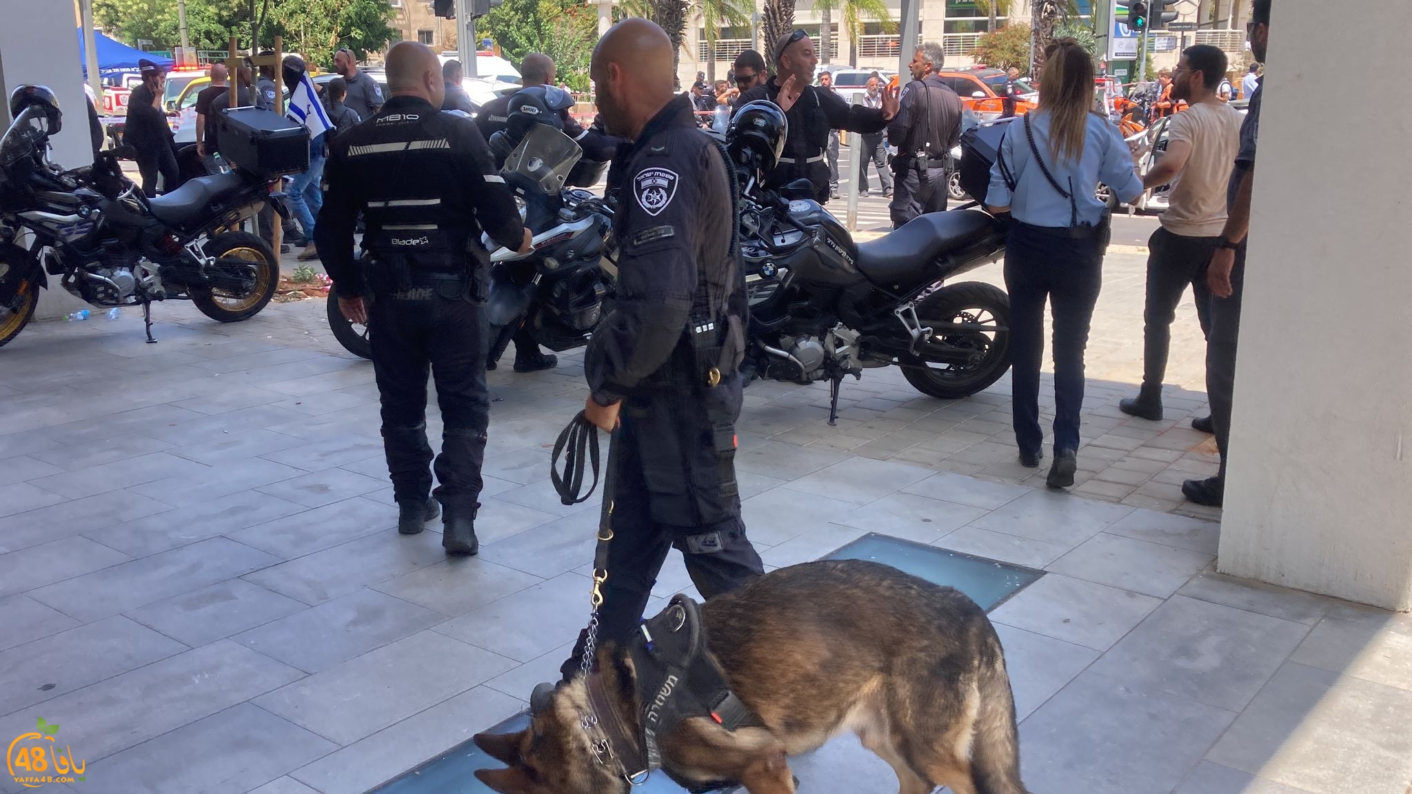 WhatsApp Image 2023-07-04 at 2.05.30 PM (2).jpeg